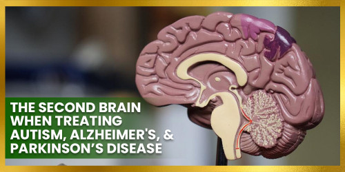 The Second Brain When Treating Autism, Alzheimer's, & Parkinson’s Disease