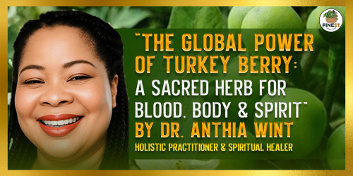 “The Global Power of Turkey Berry: A Sacred Herb for Blood, Body & Spirit”
