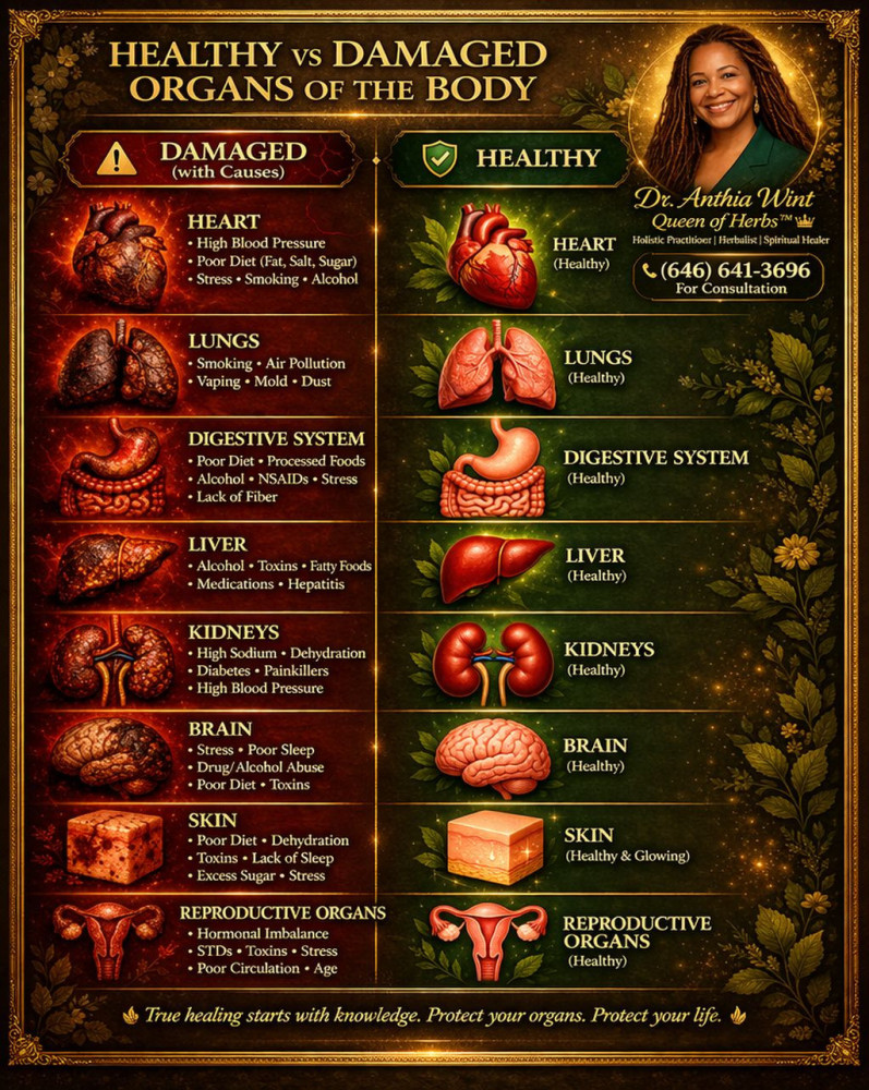 Damaged vs Healthy Organs: The Natural Healing Guide to Restore Your Body from Within