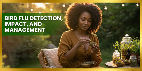 Bird Flu Detection, Impact, and Management