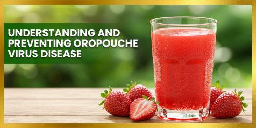 Understanding and Preventing Oropouche Virus Disease