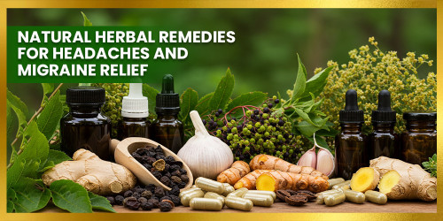 Natural Herbal Remedies for Headaches and Migraine Relief