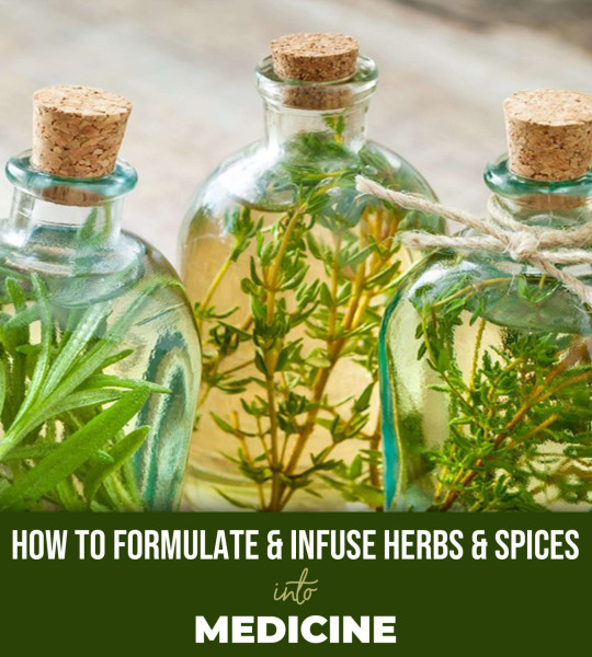 How to Formulate and Infuse Herbs and Spices into Medicine