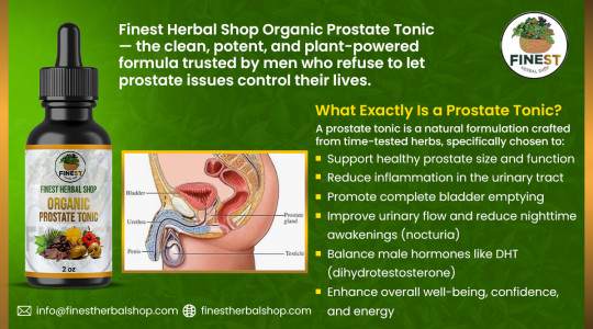 Holistic Guide to Prostate Health and the Proven Herbal Formula Men Are Raving About