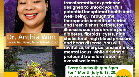 Dr Anthia Wint Healing The Body Naturally Through Spirituel and Natural Herbs: Total Body Reset workshop